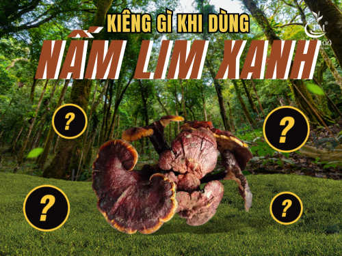 Uống nấm Lim Xanh kiêng gì? 7 điều cần biết để dùng đúng cách